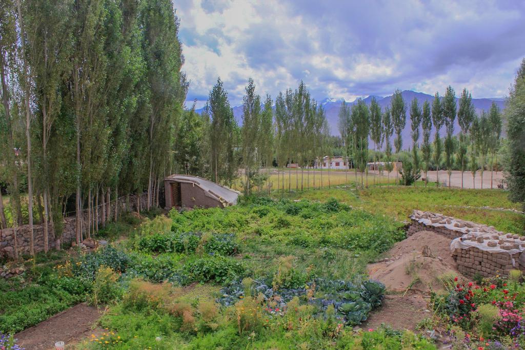 Tsetan Guest House Leh Eksteriør bilde