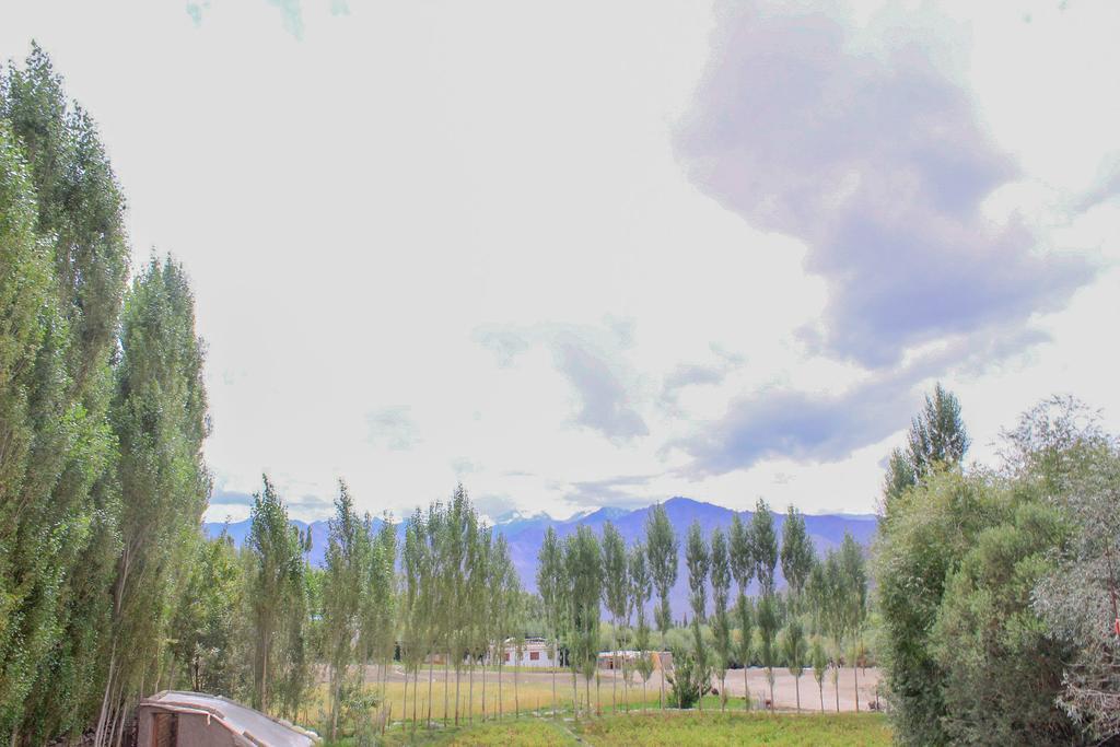 Tsetan Guest House Leh Eksteriør bilde